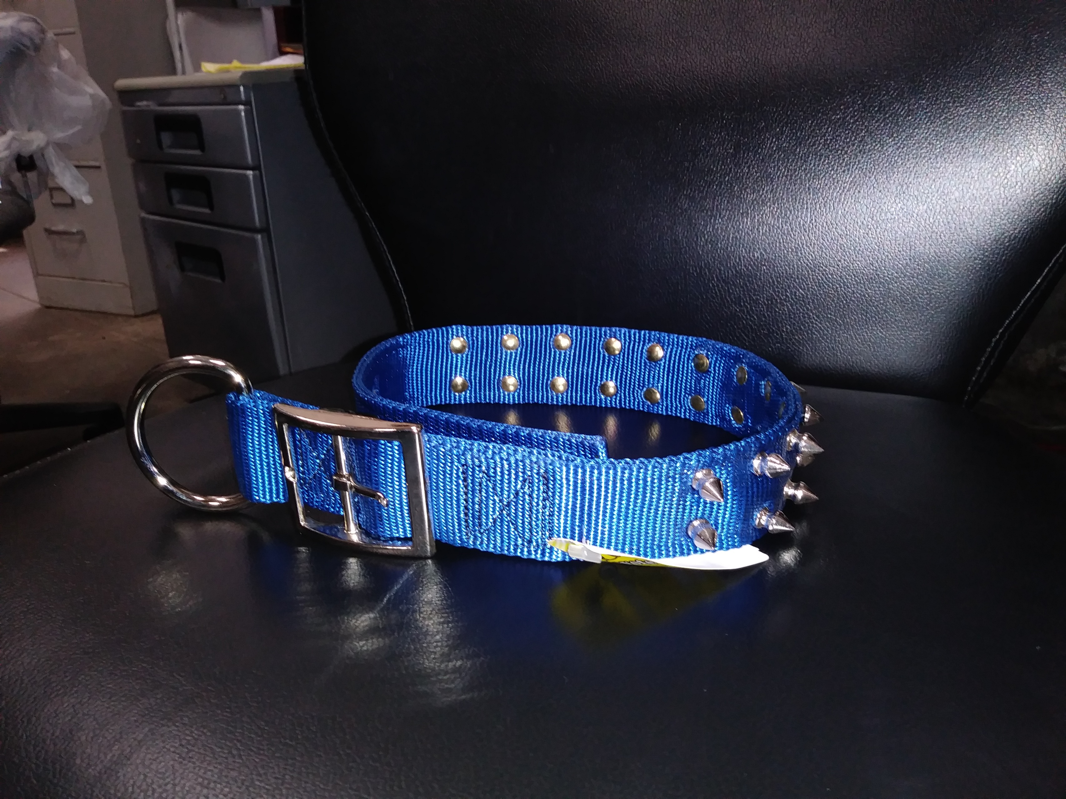 blue studded dog collar